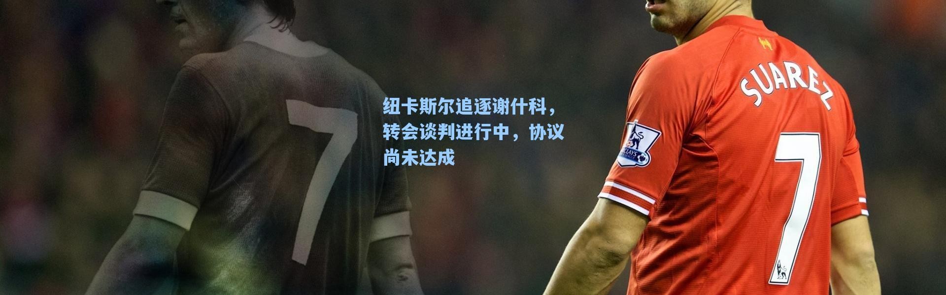 海星体育直播_纽卡斯尔追逐谢什科，转会谈判进行中，协议尚未达成