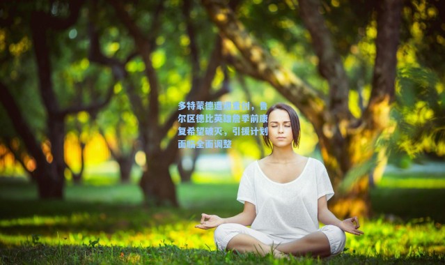 海星体育直播|多特蒙德遭遇重创,鲁尔区德比英雄詹季前康复希望破灭,引援计划面临全面调整