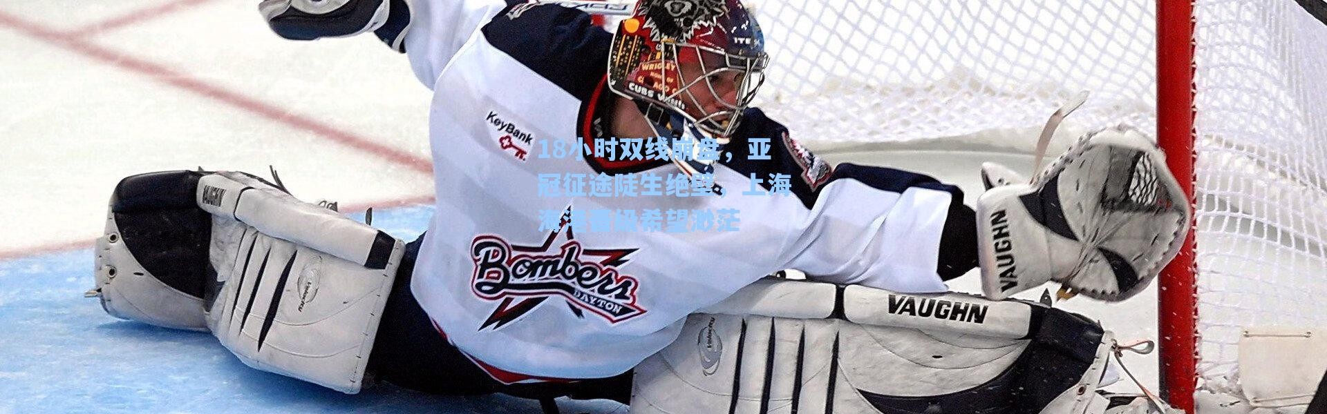 海星体育直播官网-18小时双线崩盘，亚冠征途陡生绝壁，上海海港晋级希望渺茫