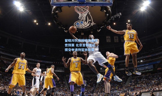 海星体育app_翟晓川伤病困扰恐无缘世预赛 北京首钢正式提交申请待篮协批复