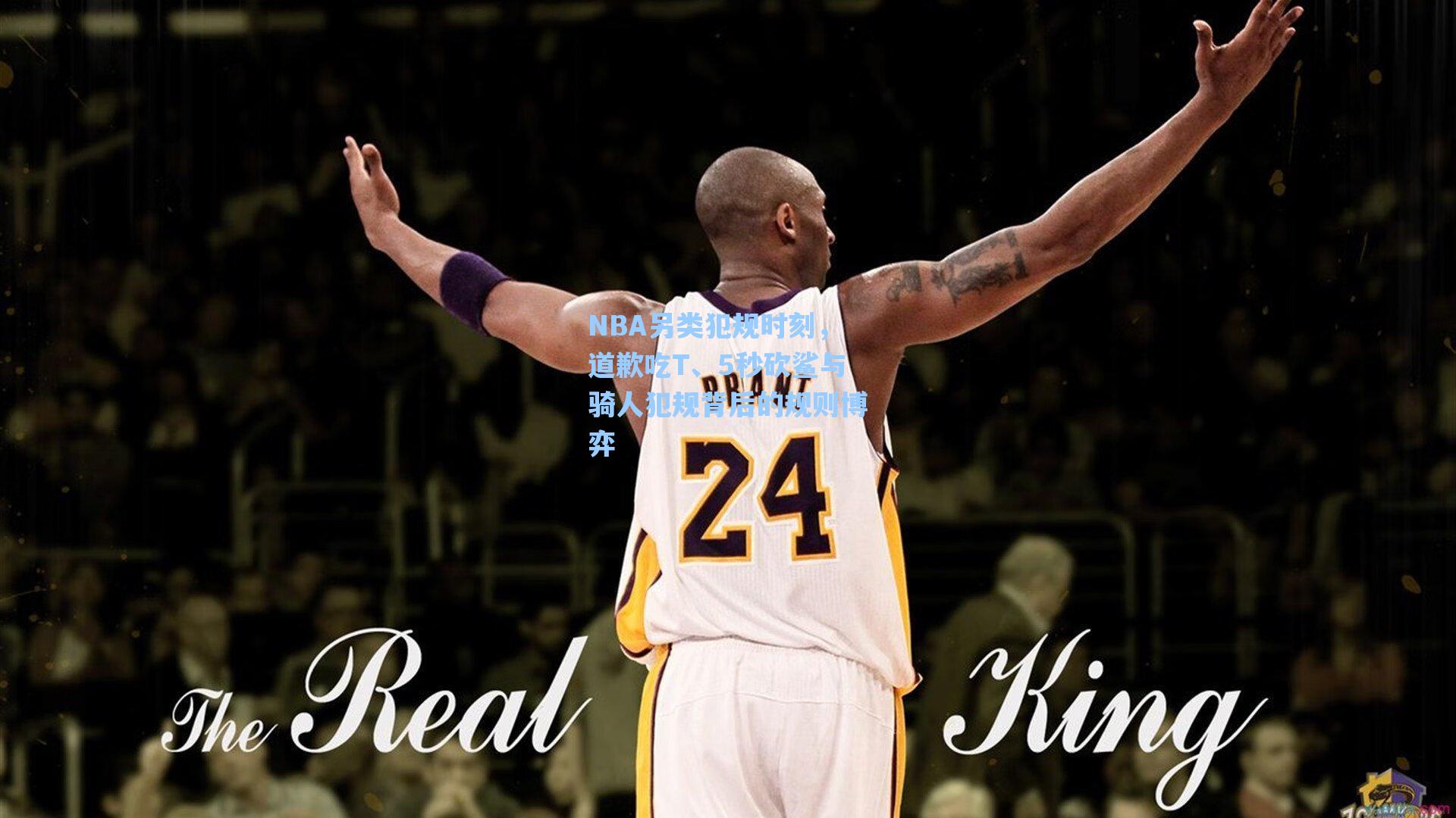 NBA另类犯规时刻，道歉吃T、5秒砍鲨与骑人犯规背后的规则博弈